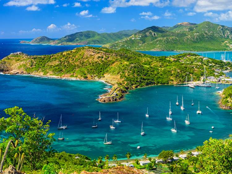 UK-based Eco Equity approved for medicinal cannabis licence in Antigua and Barbuda