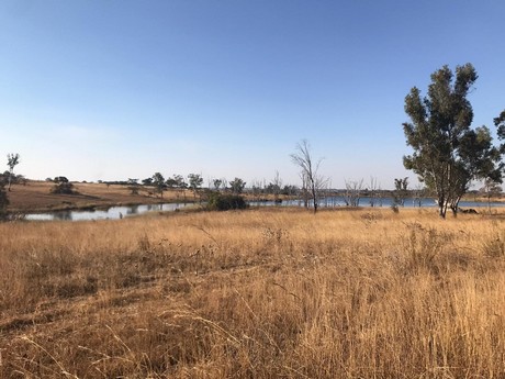 Growing cannabis in a socially responsible way, in Zimbabwe